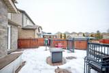 6556 Mary Drive - Photo 39