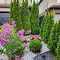 6556 Mary Drive - Photo 45