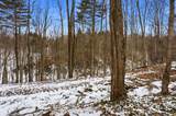 10475 Plank Road - Photo 35
