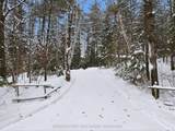 1077 Fairy Falls Road - Photo 33