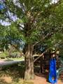 81 Thomson Drive - Photo 48
