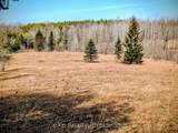 1348 Bruce Road 11 N/A - Photo 30