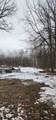 11574 Rowena Road - Photo 7