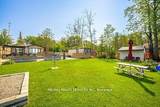 28 Eldonia Road - Photo 39