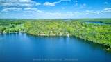 131 Bobs Lake Lane - Photo 46
