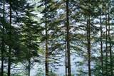 1173 Lake Of Two Rivers N/A - Photo 12