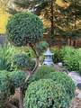 157 Norway Street - Photo 29