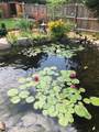 157 Norway Street - Photo 30