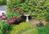 806 Smith Road - Photo 34