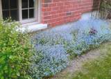 806 Smith Road - Photo 38