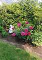 806 Smith Road - Photo 43