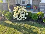 241 Wilson Avenue - Photo 32