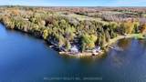19 Cherry Lane - Photo 46