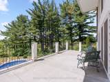 256 Wilson Drive - Photo 17