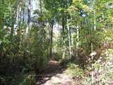 1514 Longwoods Road - Photo 27