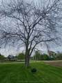 29860 Irish School Road - Photo 9