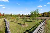 502349 10 Concession - Photo 33