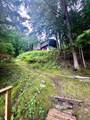 1295 Beaverdam Trail - Photo 29