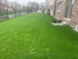 109 Raftis Street - Photo 17