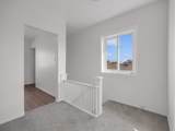 7 Maitland Street - Photo 6