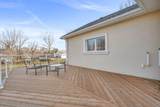 49 Ann Street - Photo 32