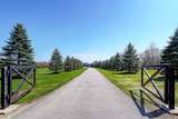 15501 Ninth Line - Photo 4