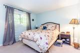 35 Dorcas Avenue - Photo 13