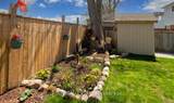 117 Winchester Terrace - Photo 43