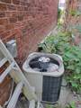 2098 Dufferin Street - Photo 17