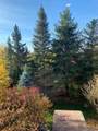 371 Fairgate Way - Photo 24