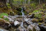 47403 Cabot Trail - Photo 28