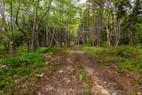 47403 Cabot Trail - Photo 31