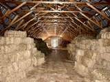 137662 Grey Road 12 N/A - Photo 25