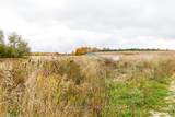 137662 Grey Road 12 N/A - Photo 47