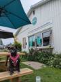 153 Wellington Main Street - Photo 4