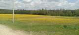 302350 Concession 2 Side Road - Photo 10