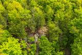 1241 Northshore Road - Photo 33