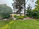 16 Velma Street - Photo 32