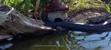 111690 Grey Road 14 N/A - Photo 46