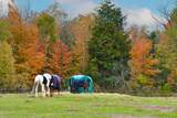 18555 Highway 12 N/A - Photo 42