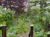 91 Haslam Street - Photo 2
