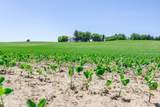5977 13th Line - Photo 49