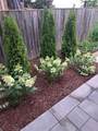 117 Winchester Terrace - Photo 46