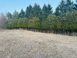 10231 Old Pinecrest Road - Photo 5