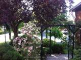 3310 Jackpine Road - Photo 3