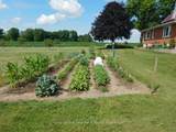 45870 Creamery Road - Photo 45