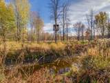18668 Concession 2 Road - Photo 38