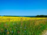 2566 5 Concession N/A - Photo 44