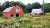 1316 Graham Road - Photo 27