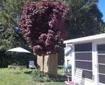 18 Sutton Drive - Photo 2
